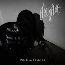 Life Seems Endless cover