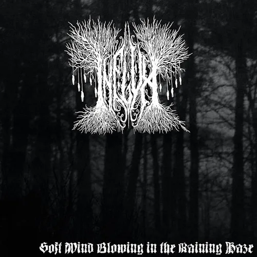 Soft Wind Blowing in the Raining Haze. cover