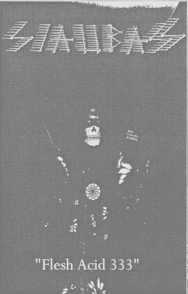 Flesh Acid 333 cover