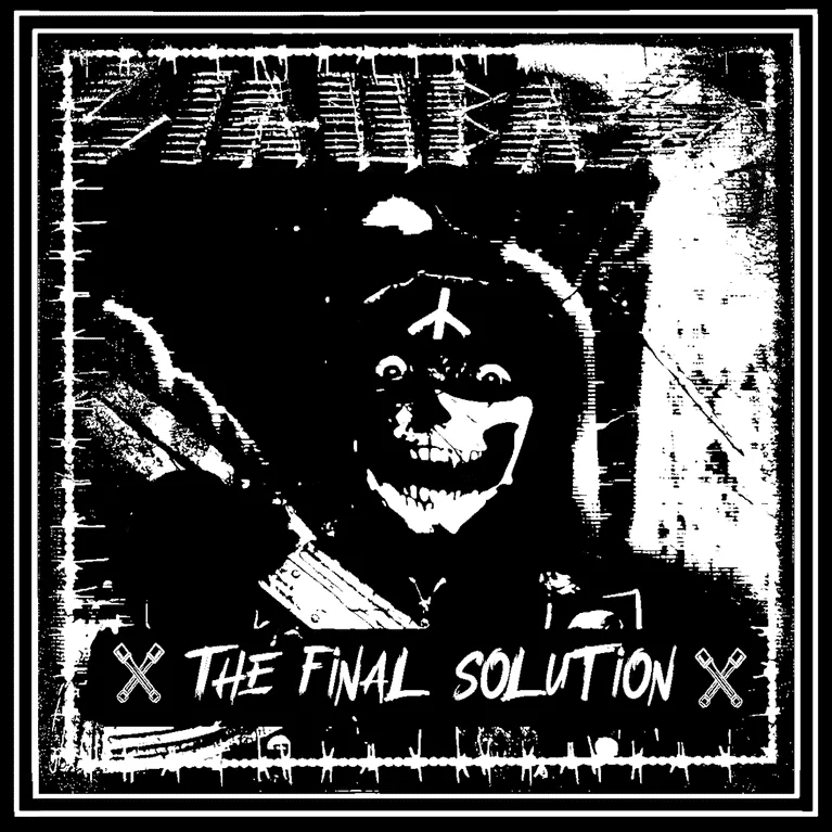 The Final Solution cover