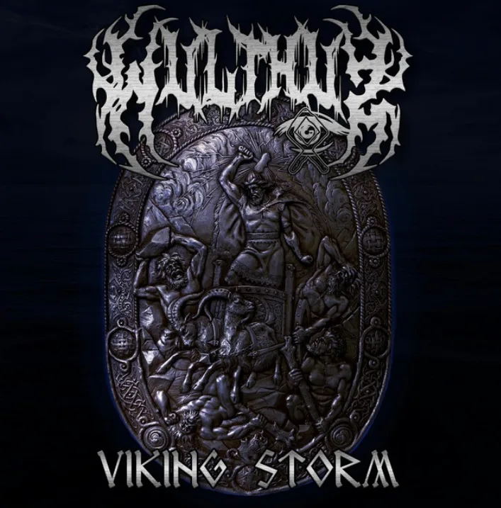 Viking Storm cover