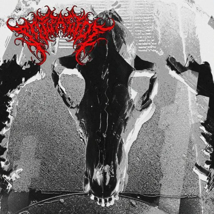 Corpse Collection cover
