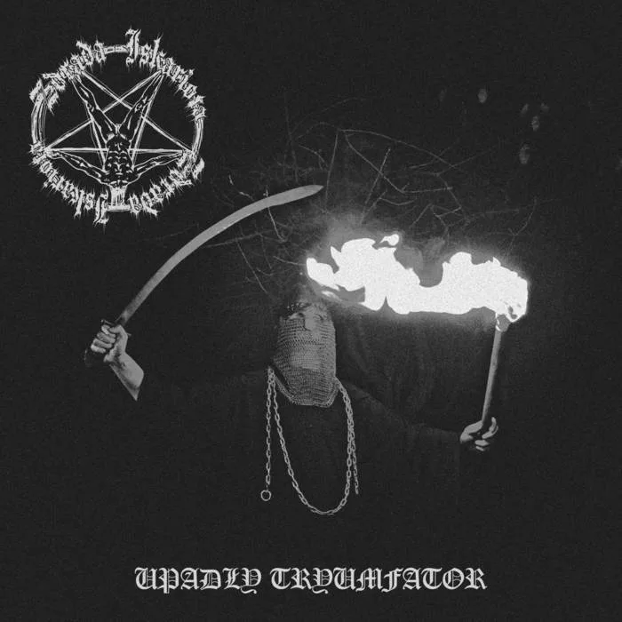 Upad​ł​y tryumfator cover