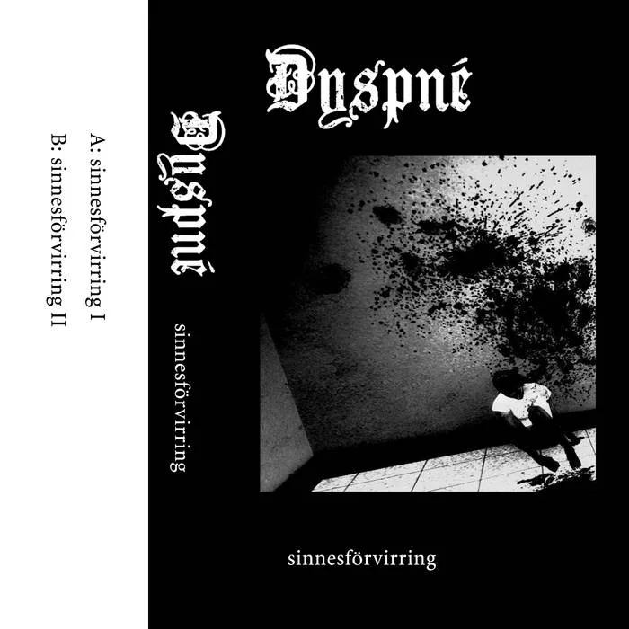 Sinnesf​ö​rvirring cover