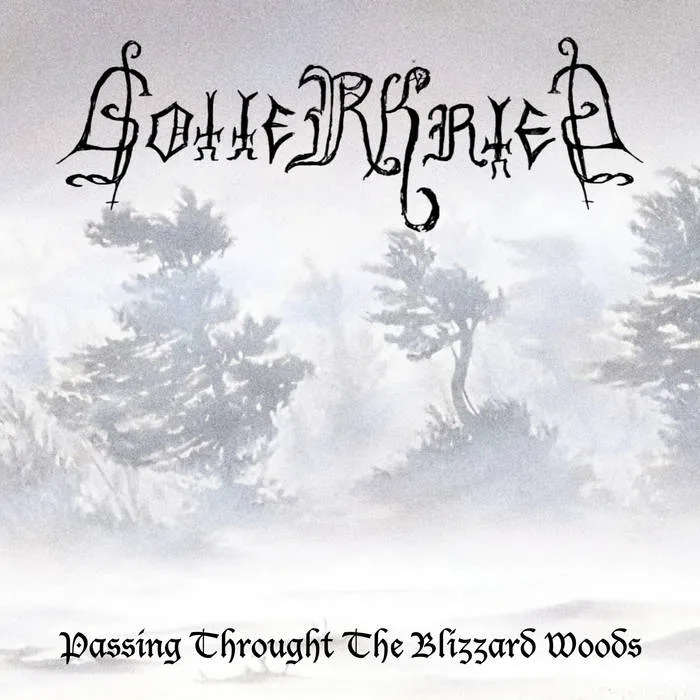 Passing Throught the Blizzard Woods cover