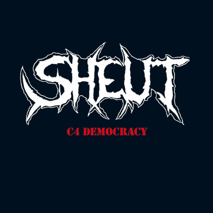 C4 Democracy cover