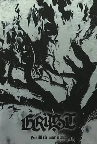 Die Welt war nicht cover