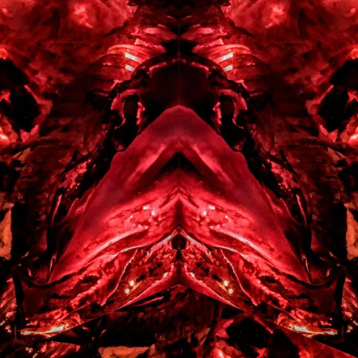 Songs from the Beltway cover