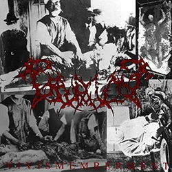 Vivismemberment cover
