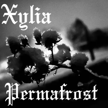 Permafrost (Demo) cover