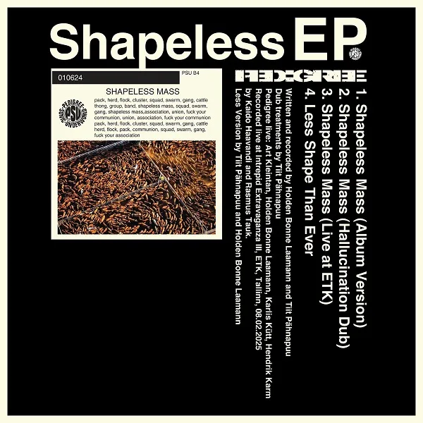 Shapeless cover