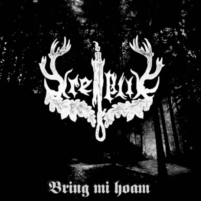 Bring mi hoam cover