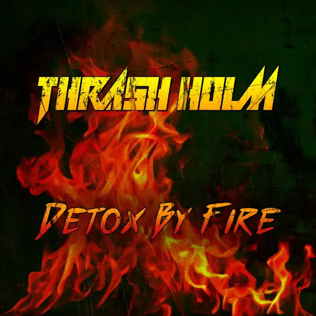 Detox by Fire cover