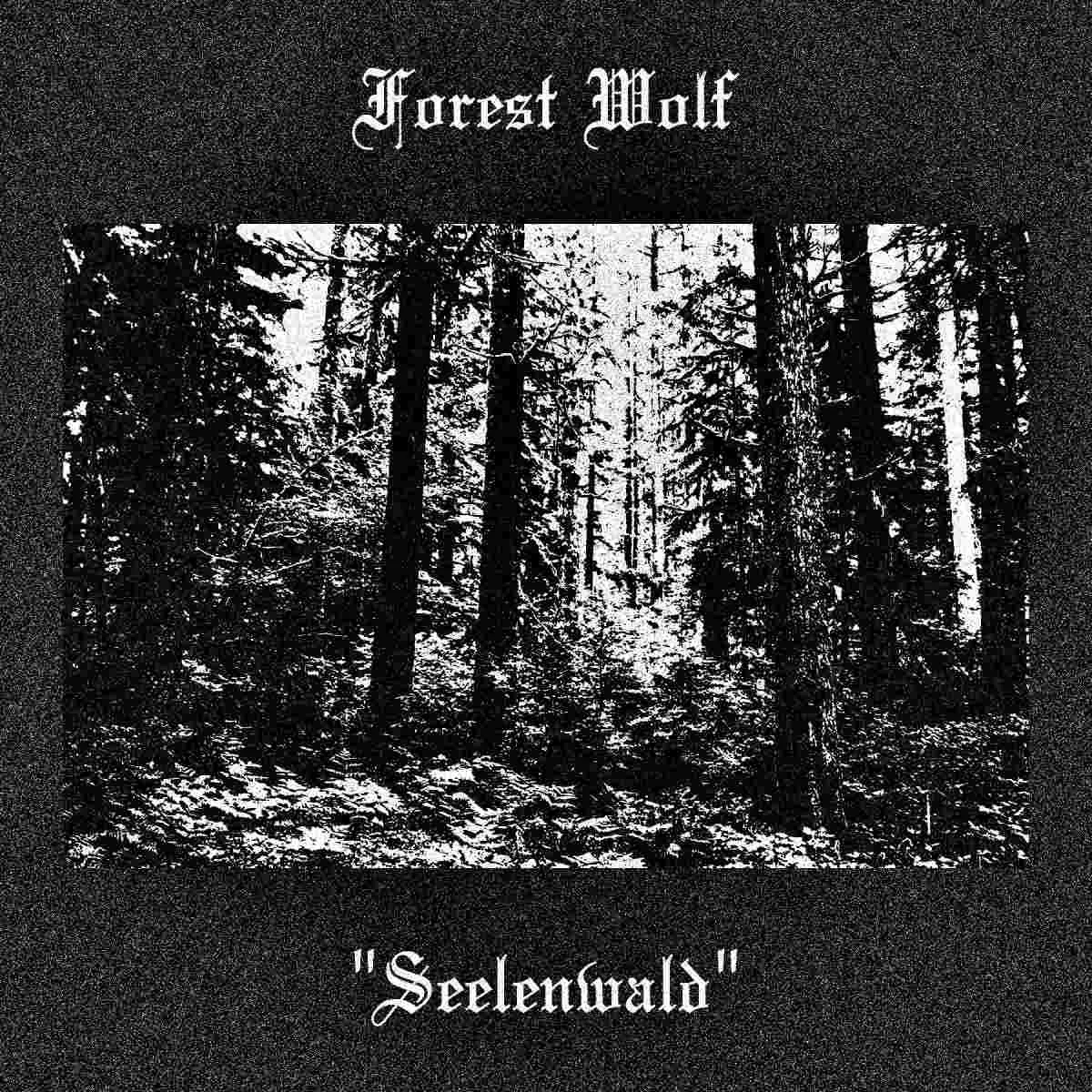 Seelenwald cover