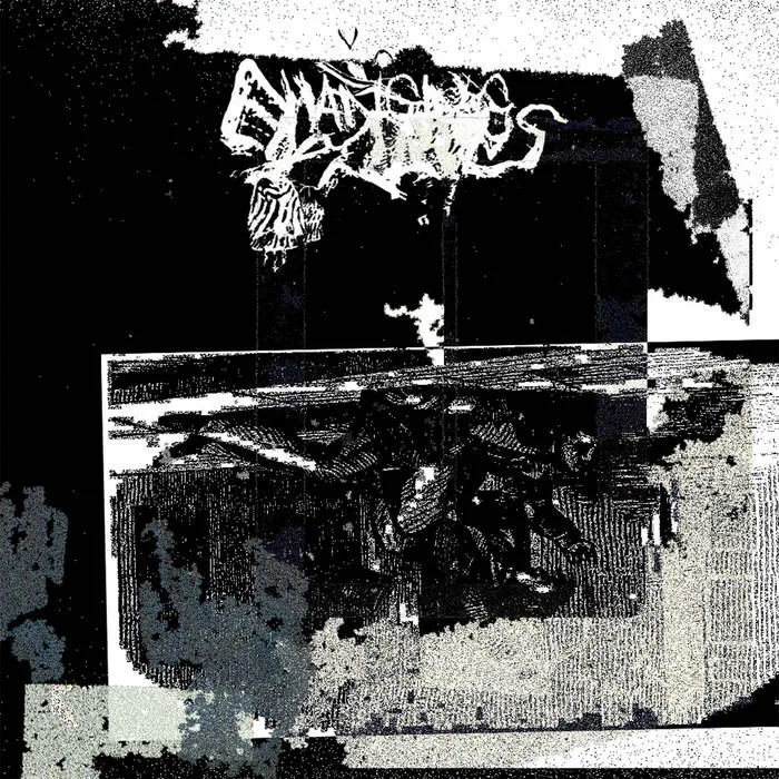 Chaos Forges Minds cover