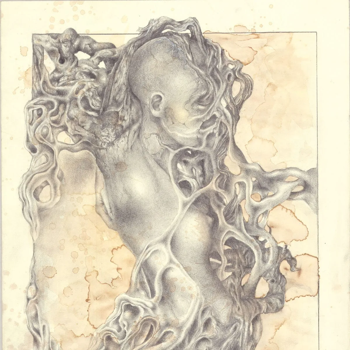 Affordable Atrocities cover