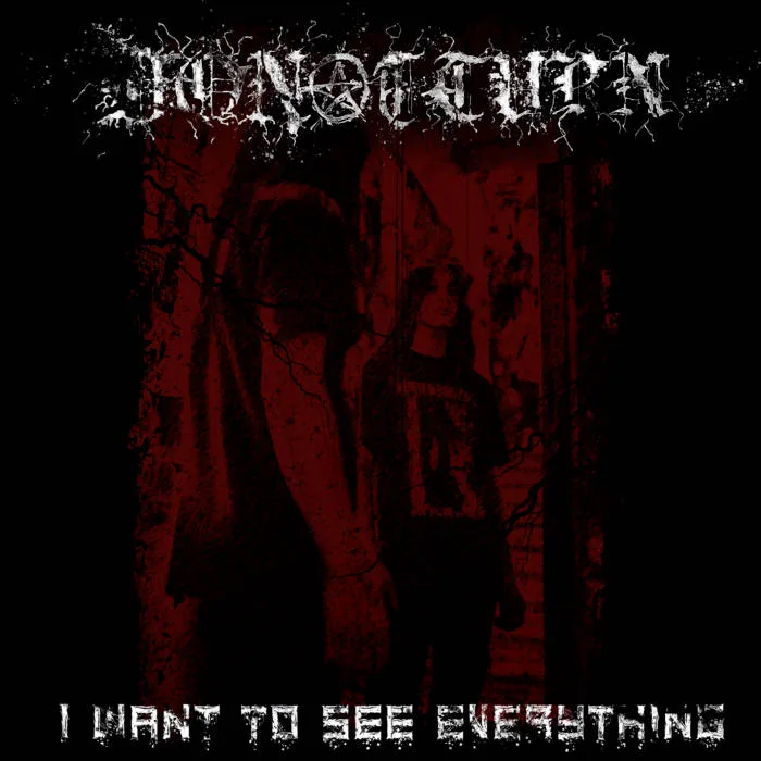 I Want to See Everything cover