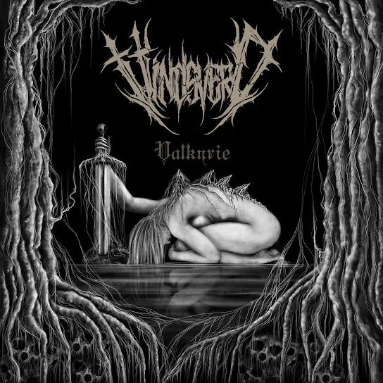Valkyrie cover
