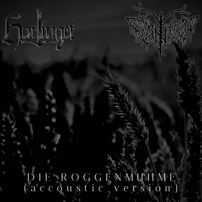Die Roggenmuhme (accoustic version) cover
