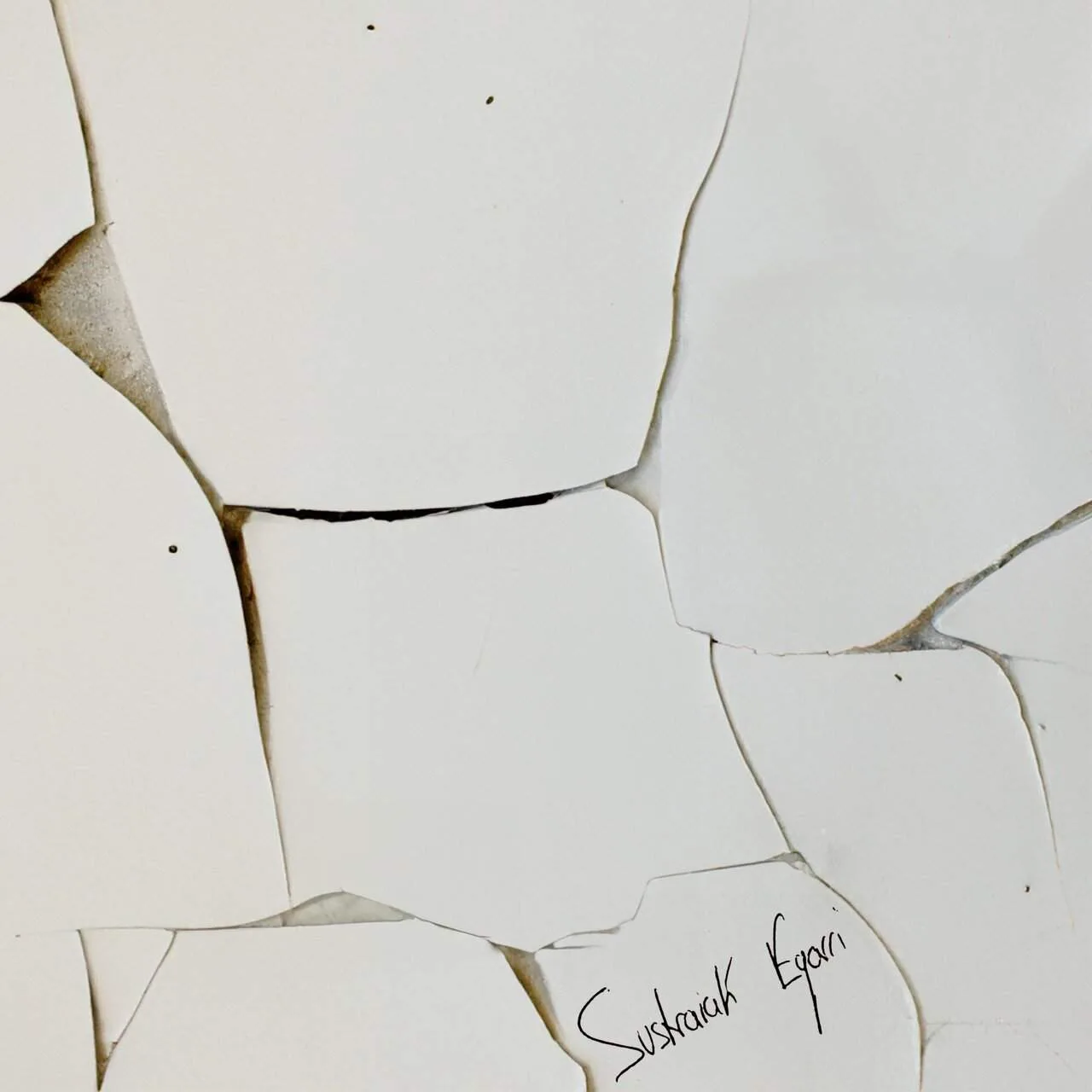 Sustraiak egarri cover