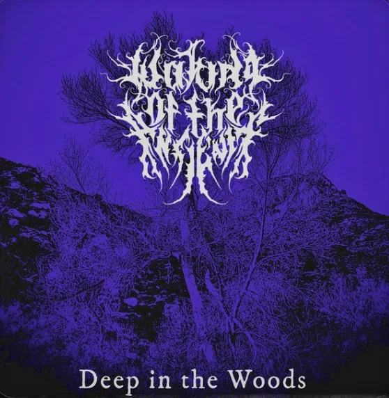 Deep in the Woods cover