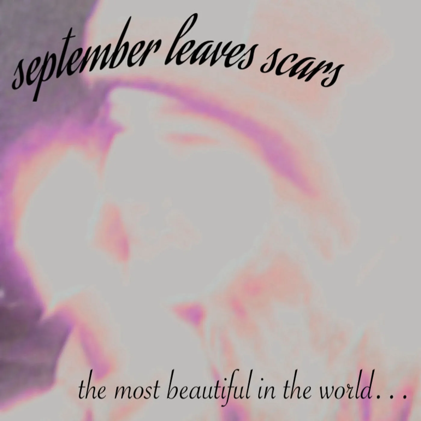 The Most Beautiful in the World... cover