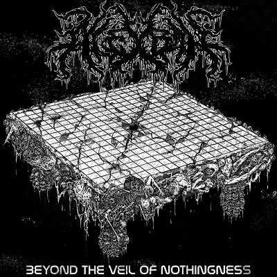 Beyond the Veil of Nothingness cover