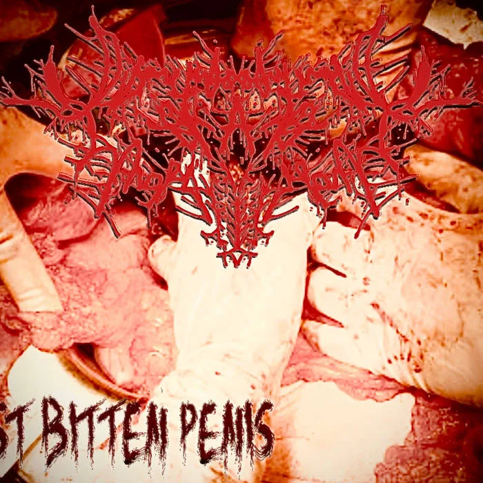 Frost Bitten Penis cover