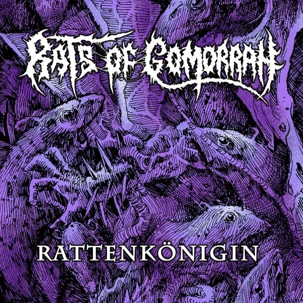 Rattenkönigin cover