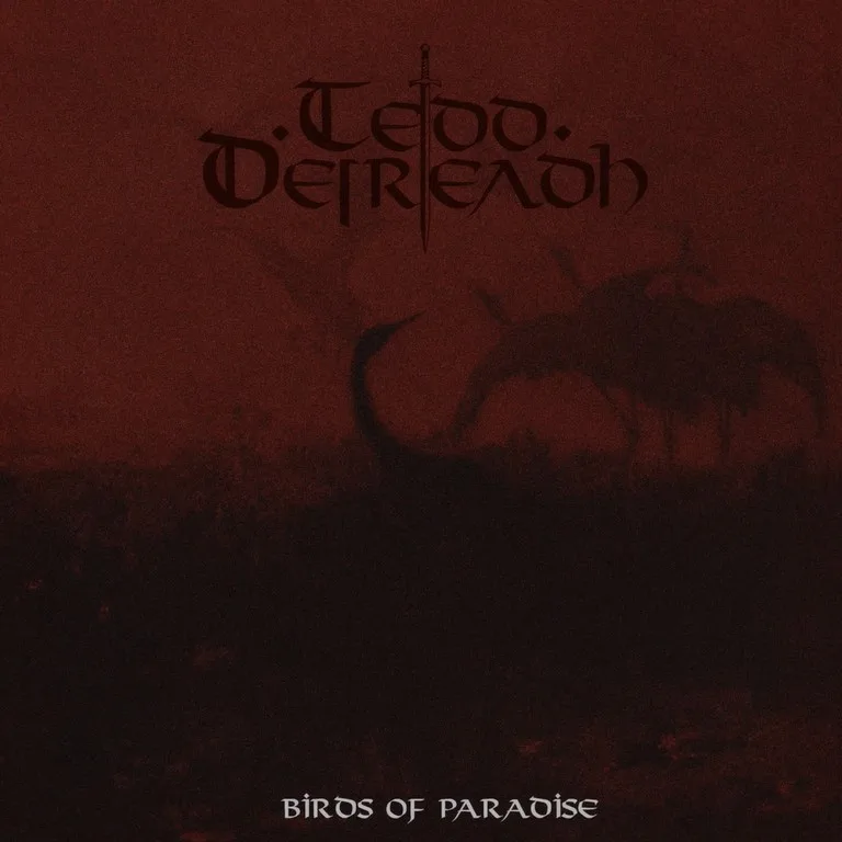 Birds of Paradise cover