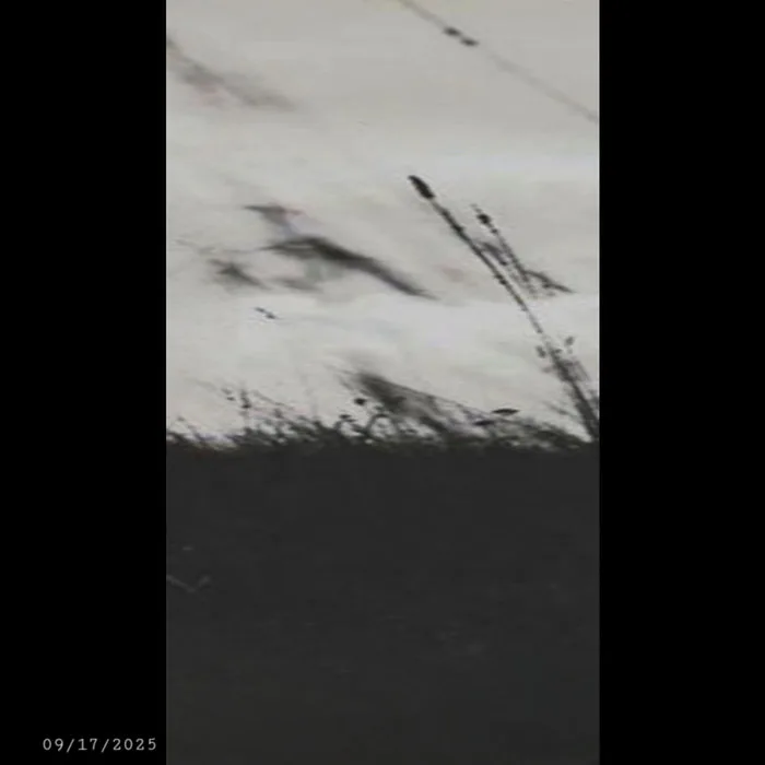 без неї... (without her...) cover