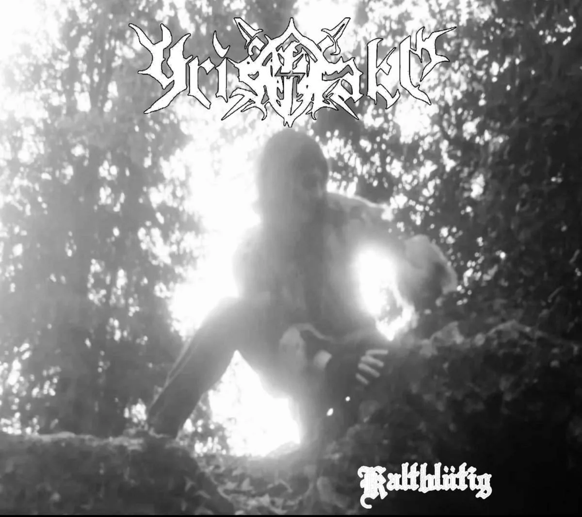 Kaltbl​ü​tig cover