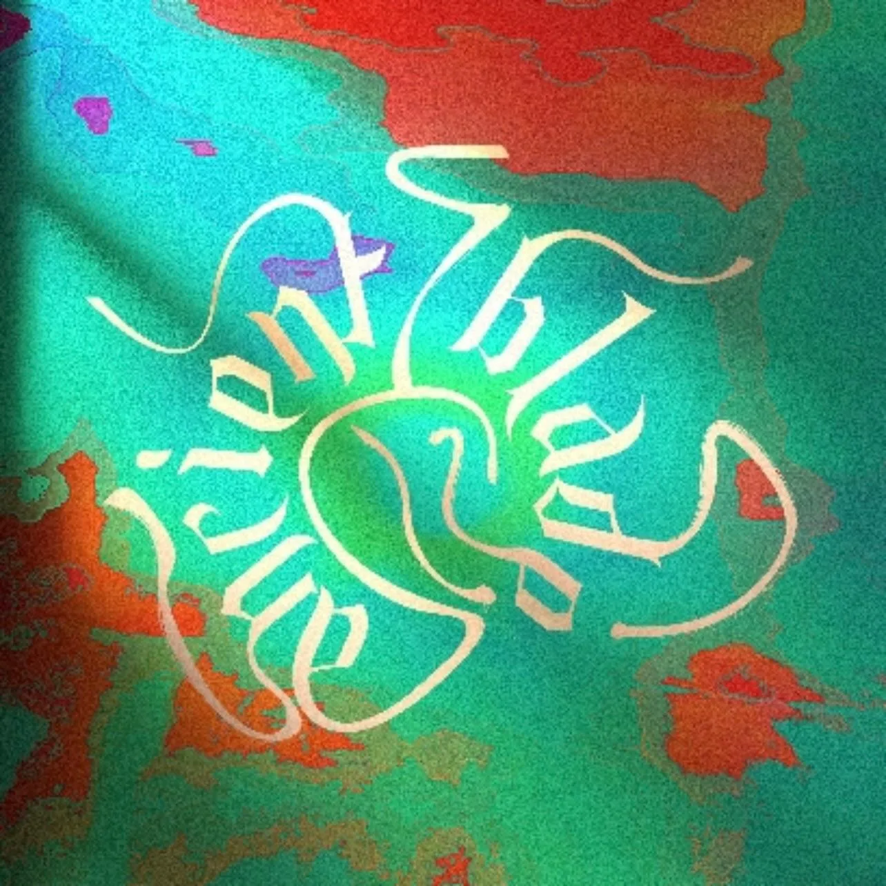 星垂 cover