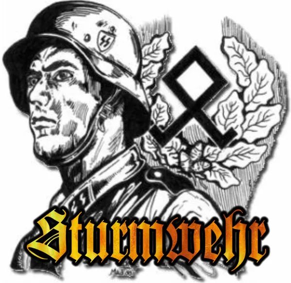 Sturmwehr cover