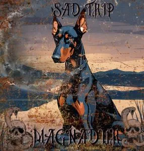 Sad Trip cover