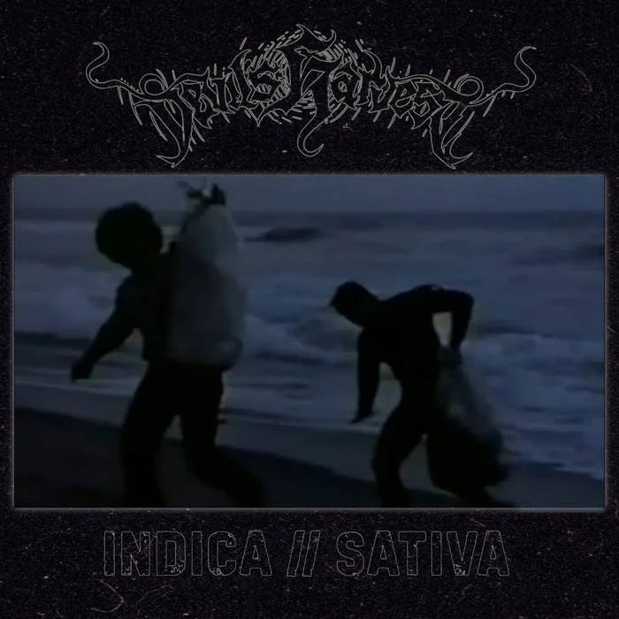 Indica // Sativa cover