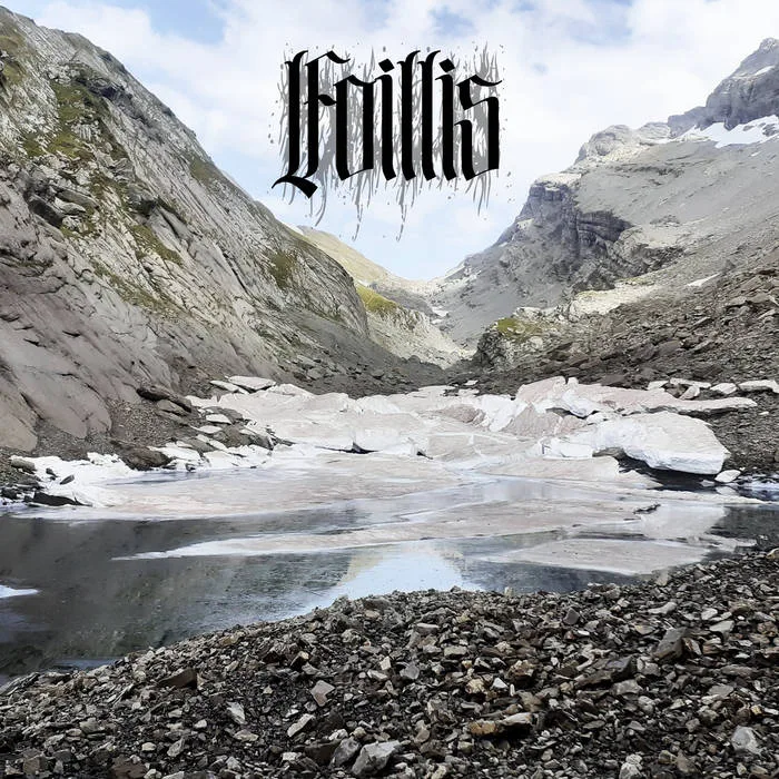 Foillis cover