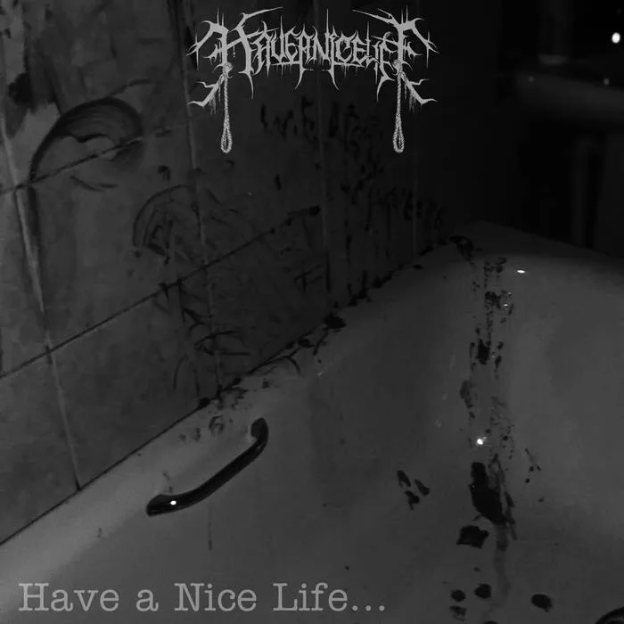 Have a Nice Life... cover