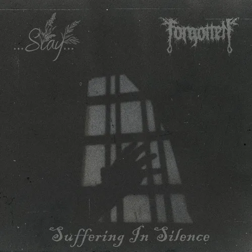 Suffering in Silence cover