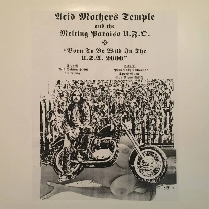 Born to Be Wild in the U.S.A. 2000 cover