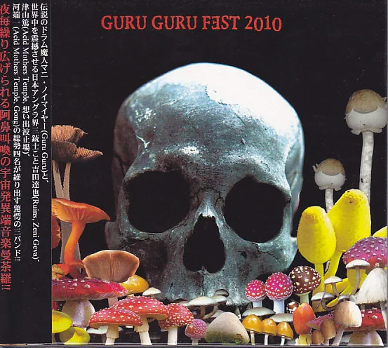 Guru Guru Fest 2010 cover
