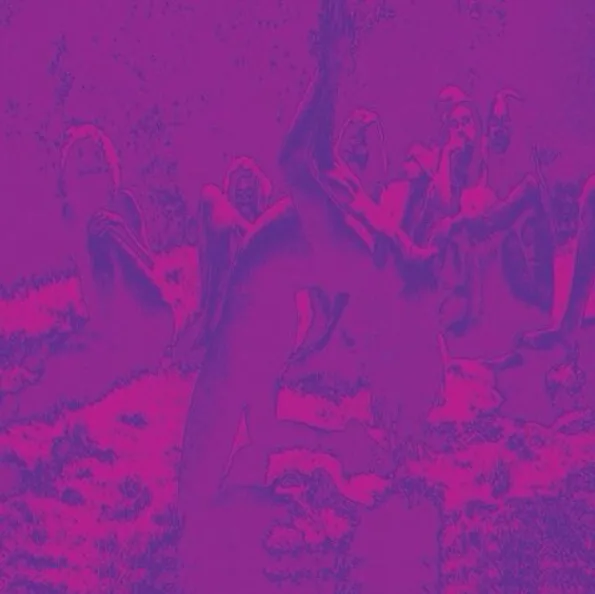 Acid Guru Pond cover