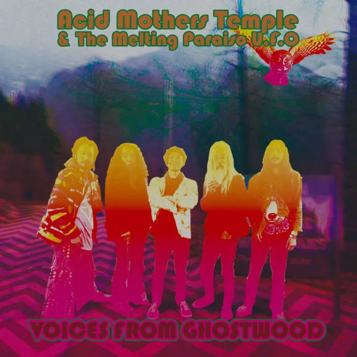 Voices from Ghostwood cover