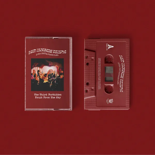 The Third Forbidden Fruit from the Sky cover