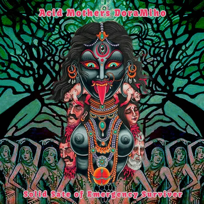 Solid Sate of Emergency Surviver cover