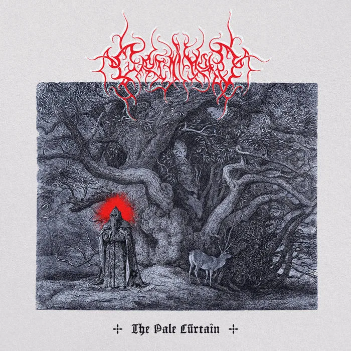 The Pale Curtain cover