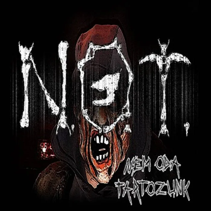 Nem oda tartozunk cover