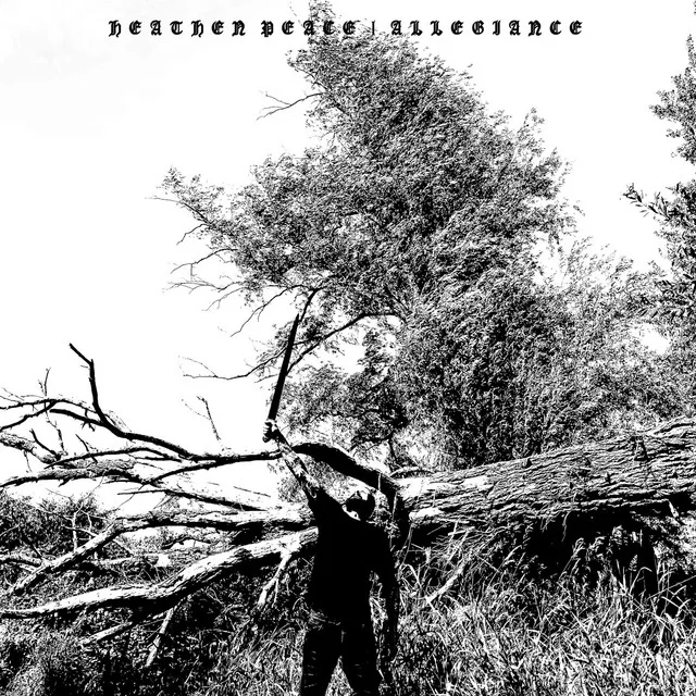 Allegiance cover