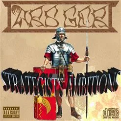 Strategist's Ambitions cover