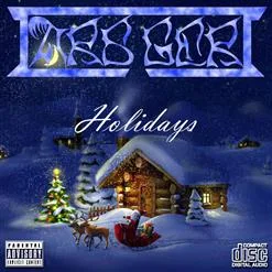 Holidays cover